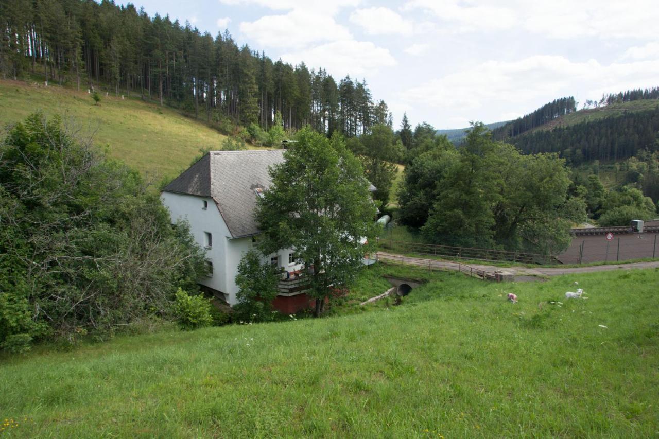 Zur Alten Oele - Hochwertig Und Familienfreundlich Lenzkirch Exterior foto